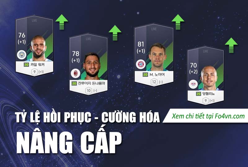 Tỷ lệ nâng cấp đột phá và hồi phục khi nâng cấp