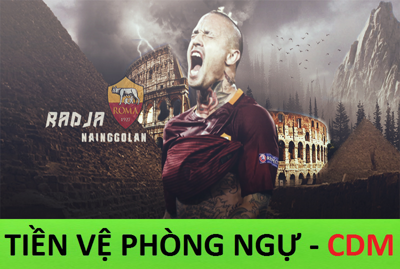 Tiền vệ phòng ngự - Cách vận hành